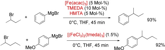 Iron-Catalyzed Alkylations of Aromatic Grignard Reagents