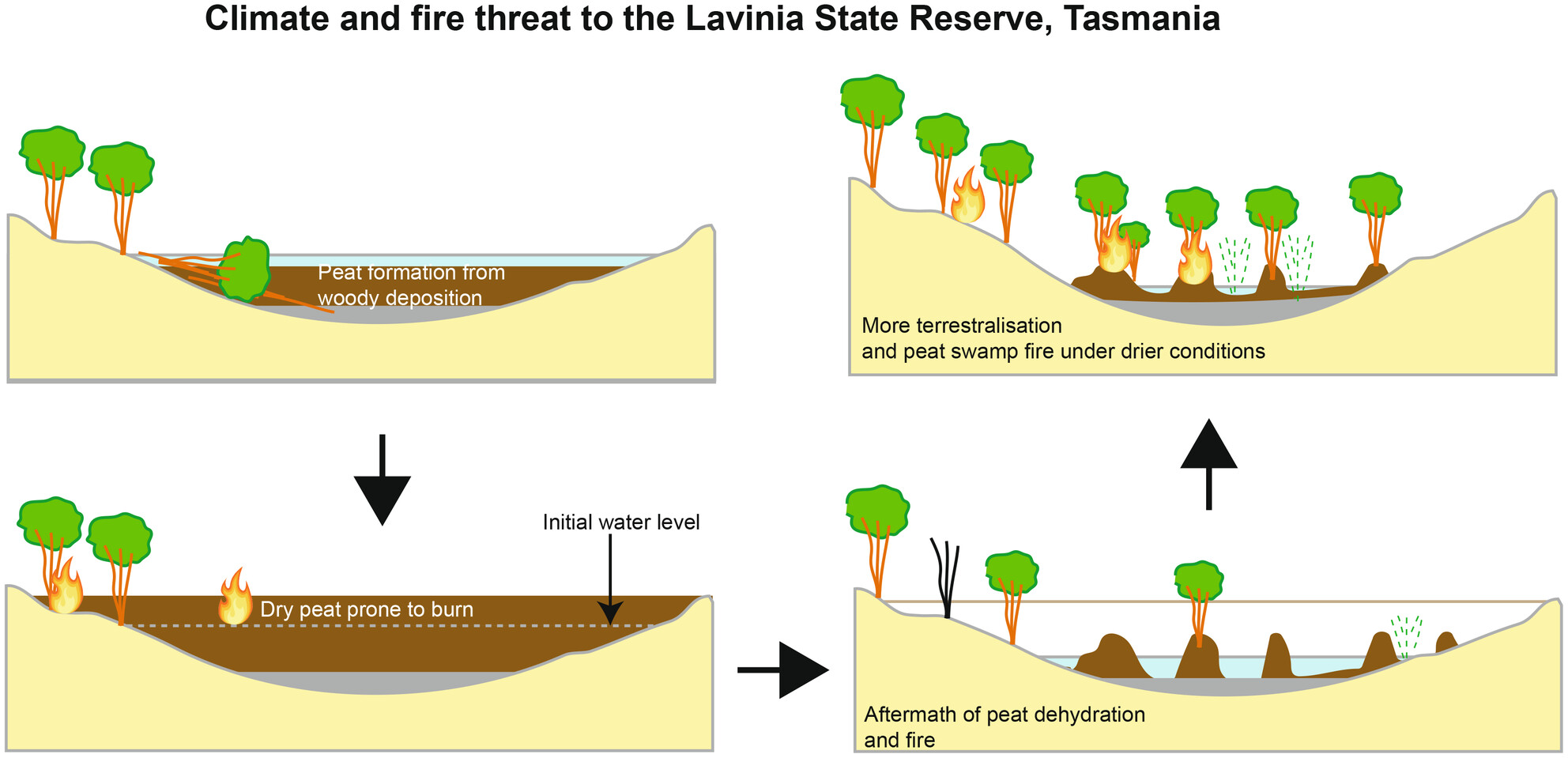 Palaeoecological Analyses Reveal Recent Fires Have Destroyed Late-Holocene Peat Deposits in Tasmania's Largest Ramsar Reserve