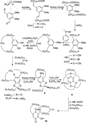 Details are in the caption following the image