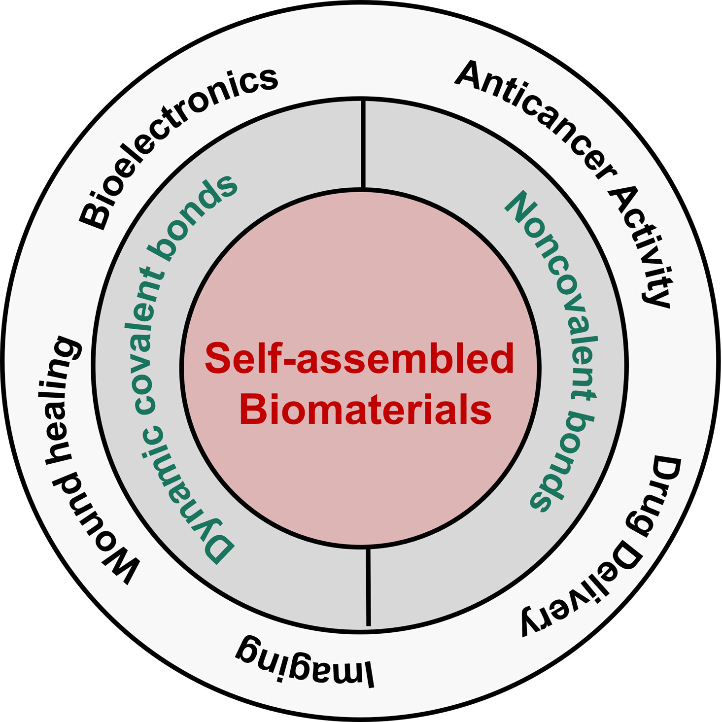 Dynamic Covalent and Noncovalent Bonds Based Self-assembled Biomaterials: From Construction to Biomedical Applications