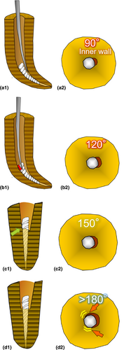 Details are in the caption following the image Details are in the caption following the image