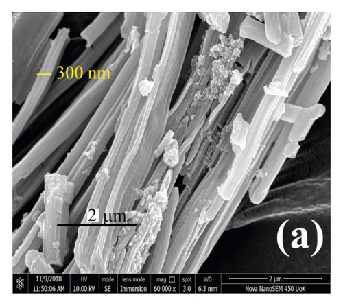 Details are in the caption following the image
