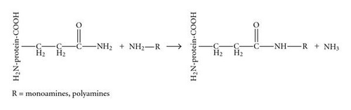 Details are in the caption following the image