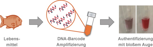 DNA Barcoding Meets Nanotechnology: Development of a Universal Colorimetric Test for Food Authentication