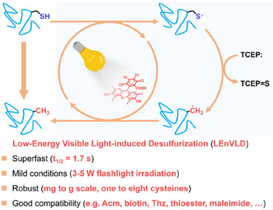 Superfast Protein Desulfurization Triggered by Low-Energy Visible Light
