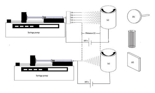 Details are in the caption following the image Details are in the caption following the image
