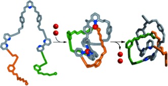 Active-Metal Template Synthesis of a Molecular Trefoil Knot