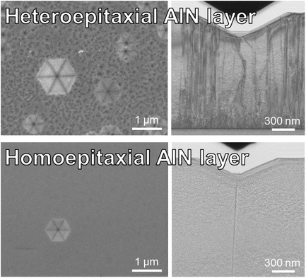 Study of Dislocations in Homoepitaxially and Heteroepitaxially Grown AlN Layers