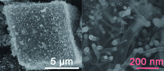 A Hierarchical Tin/Carbon Composite as an Anode for Lithium-Ion Batteries with a Long Cycle Life