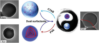 Encounter between Gyroid and Lamellae in Janus Colloidal Particles Self-Assembled by a Rod–Coil Block Copolymer