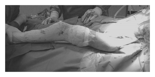 Details are in the caption following the image Details are in the caption following the image