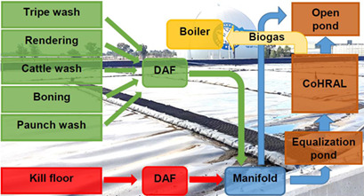 Process Monitoring and Control for an Anaerobic Covered Lagoon Treating Abattoir Wastewater