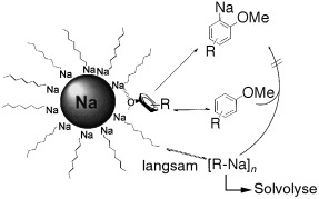 Directed ortho-Metalation, a New Insight into Organosodium Chemistry