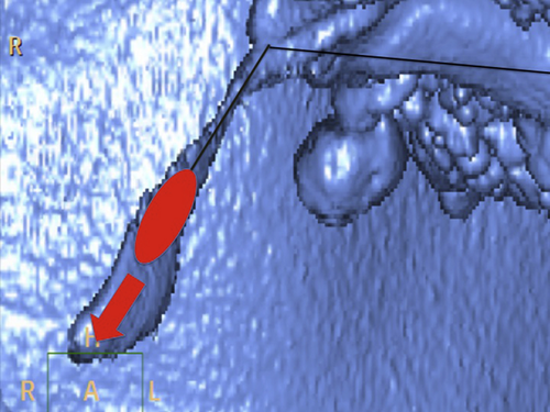 Details are in the caption following the image Details are in the caption following the image