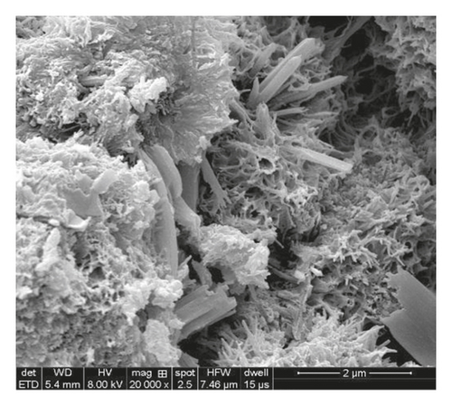 Details are in the caption following the image
