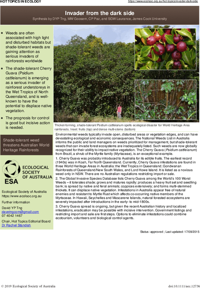 First page image