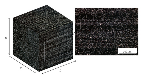 Details are in the caption following the image Details are in the caption following the image