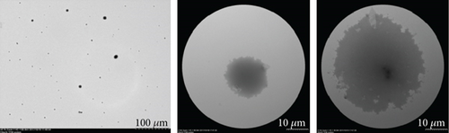 Details are in the caption following the image Details are in the caption following the image