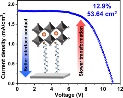 Impact of Nickel Oxide/Perovskite Interfacial Contact on the Crystallization and Photovoltaic Performance of Perovskite Solar Cells