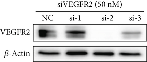 Details are in the caption following the image