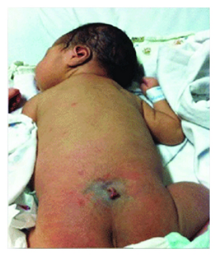 Details are in the caption following the image Details are in the caption following the image