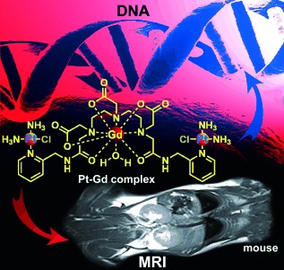 Platinum(II)–Gadolinium(III) Complexes as Potential Single-Molecular Theranostic Agents for Cancer Treatment