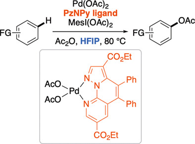 Palladium-catalyzed C<span class='icomoon'></span>H acetoxylation of arenes using a pyrazolonaphthyridine ligand