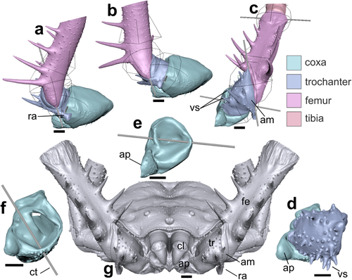 Details are in the caption following the image Details are in the caption following the image