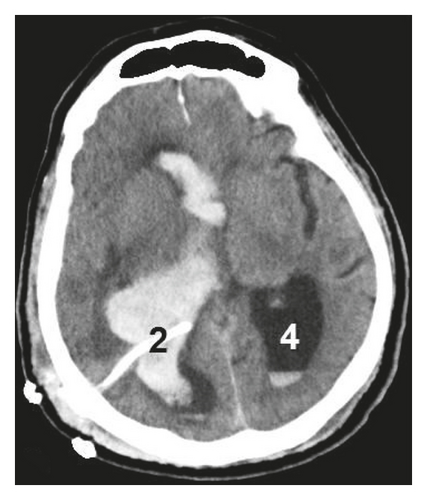 Details are in the caption following the image Details are in the caption following the image