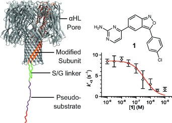 Pim Kinase Inhibitors Evaluated with a Single-Molecule Engineered Nanopore Sensor