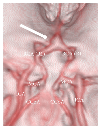 Details are in the caption following the image Details are in the caption following the image