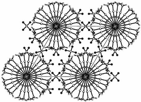 Unprecedented Conversion of a Compound with Metal–Metal Bonding into a Solvated Molecular Wire