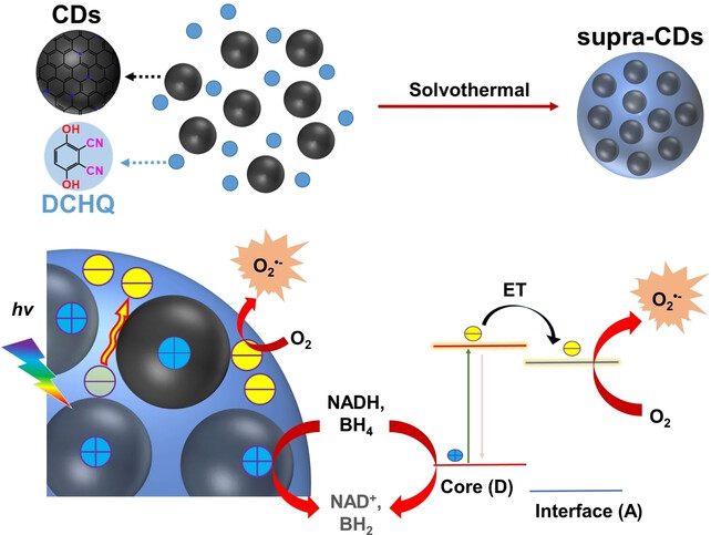 Donor-Acceptor Type Supra-Carbon-Dots with Long Lifetime Photogenerated Radicals Boosting Tumor Photodynamic Therapy