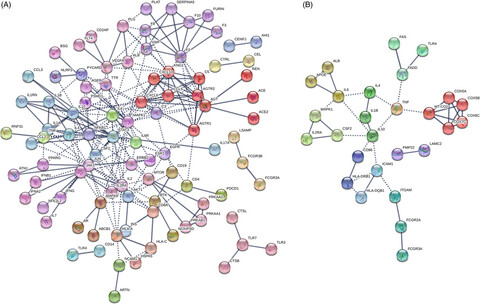 Bioinformatic analyses hinted at augmented T helper 17 cell differentiation and cytokine response as the central mechanism of COVID-19–associated Guillain-Barré syndrome