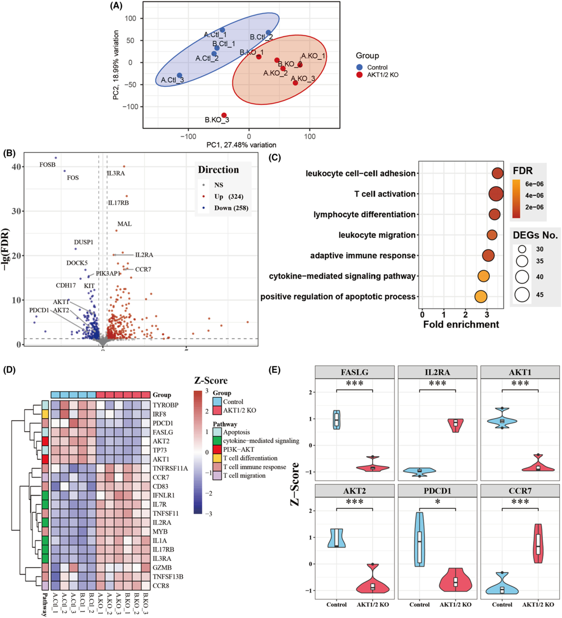 Modulation of intracellular kinase signaling to improve TIL stemness and function for adoptive cell therapy