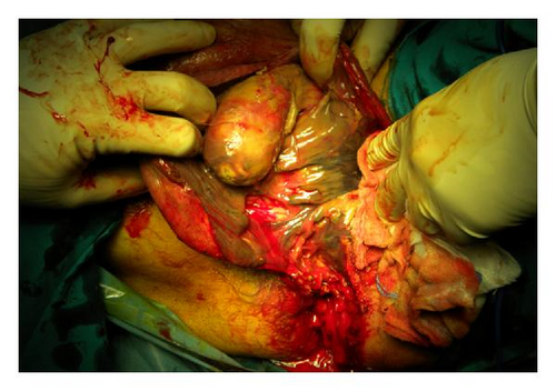 Details are in the caption following the image Details are in the caption following the image