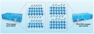 Homogenizing The Low-Dimensional Phases for Stable 2D-3D Tin Perovskite Solar Cells