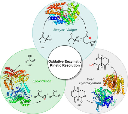 Enzymatic Kinetic Resolution by Addition of Oxygen