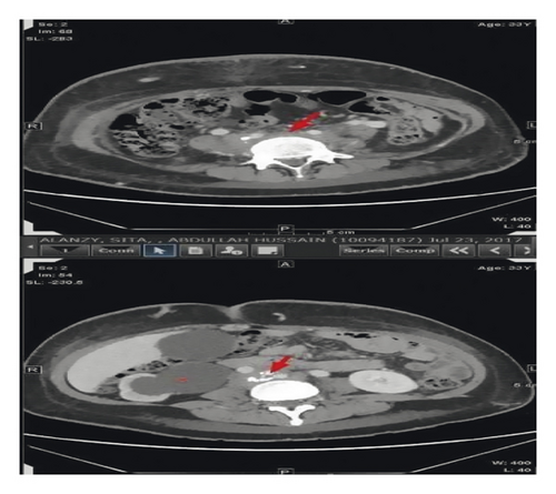 Details are in the caption following the image Details are in the caption following the image
