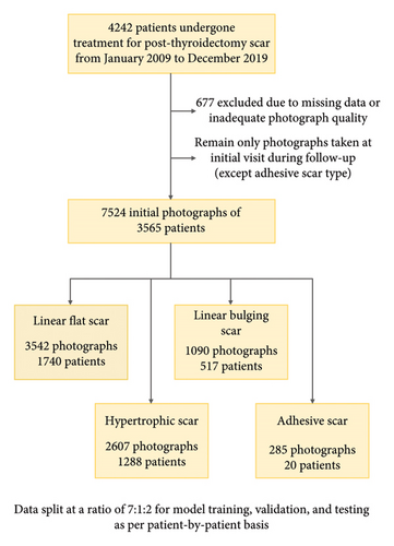 Details are in the caption following the image Details are in the caption following the image