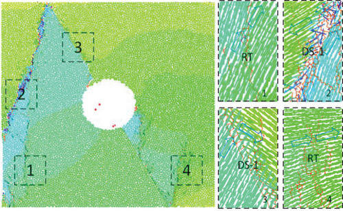 Details are in the caption following the image