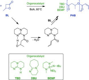 Controlled ROP of β-Butyrolactone Simply Mediated by Amidine, Guanidine, and Phosphazene Organocatalysts