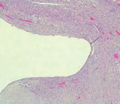 Details are in the caption following the image