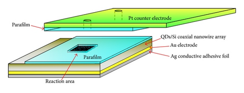 Details are in the caption following the image Details are in the caption following the image