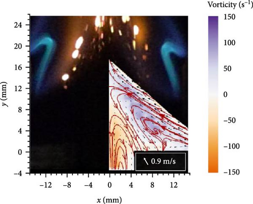 Details are in the caption following the image Details are in the caption following the image