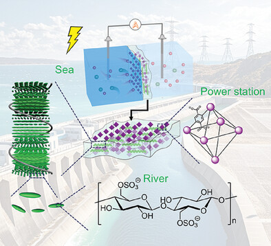 Cellulose Nanocrystal Composite Membrane Enhanced with In Situ Grown Metal–Organic Frameworks for Osmotic Energy Conversion