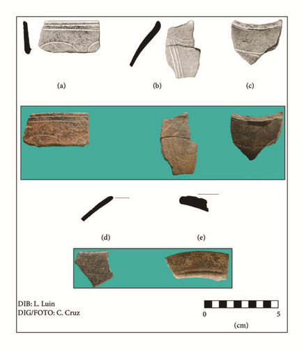 Details are in the caption following the image Details are in the caption following the image