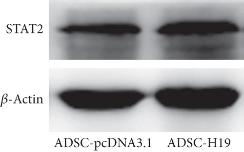 Details are in the caption following the image