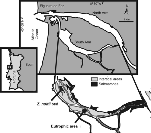 Details are in the caption following the image