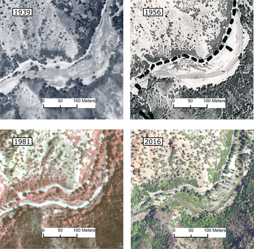 Details are in the caption following the image Details are in the caption following the image